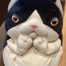 ぬい撮り