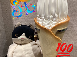 ぬい撮り