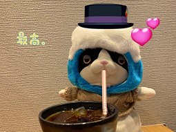 ぬい撮り